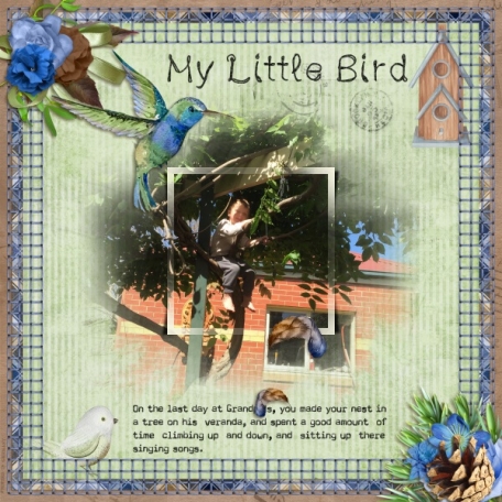 My Little Bird 