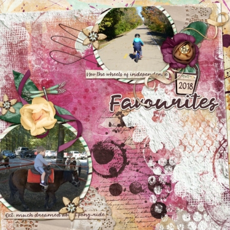 Favourites (Rosy Posy)