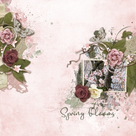 Spring blooms (Country Rose)