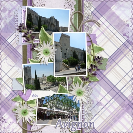 Avignon (Lavender Fields)