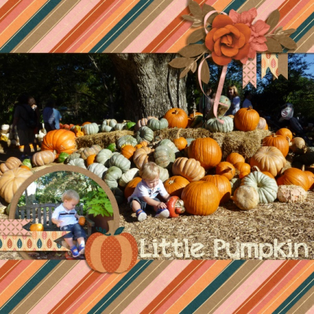 Little pumpkin (Giving thanks)