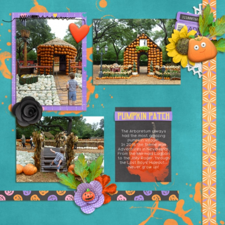 Pumpkin patch (Little Pumpkin)