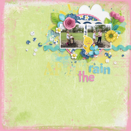 After the rain (Spring is just ducky)