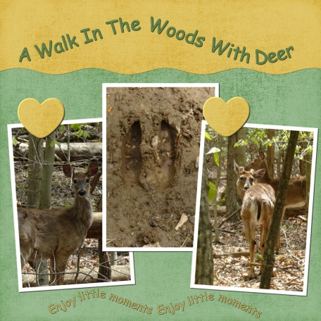 A Walk In The Woods With Deer