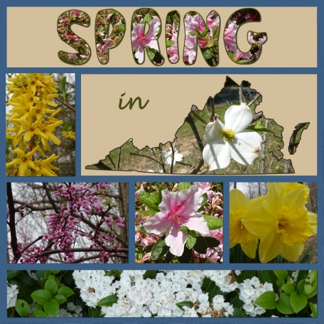 Spring in Virginia