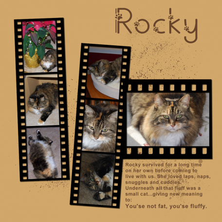 Rocky
