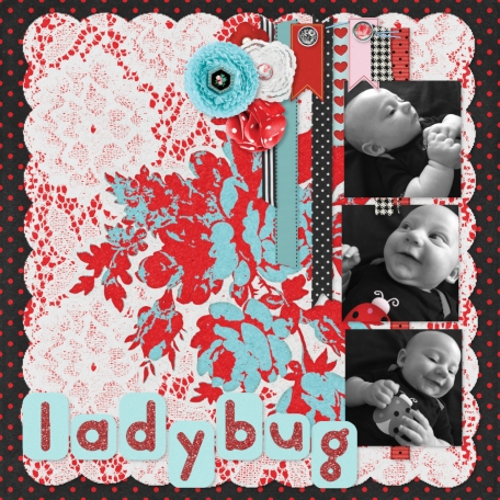 Ladybug