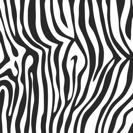 Paper 202 - Zebra Print Overlay graphic by Marisa Lerin ...