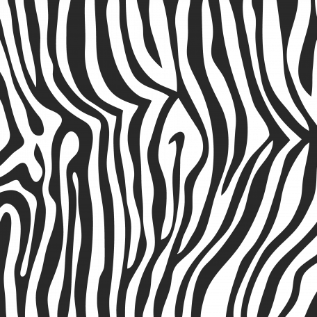 Paper 202 - Zebra Print Overlay graphic by Marisa Lerin ...