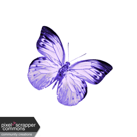 robinsampson_lilac_aqua_mini_element_butterfly_1