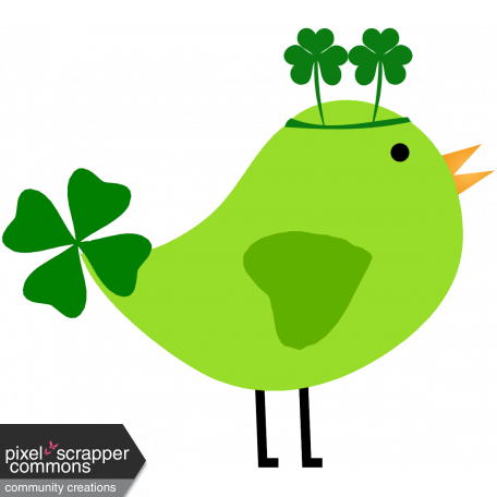 Saint Patrick Bird 10