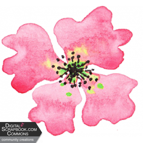Bloom Pink Watercolor Flower 2