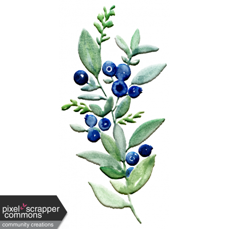 Sow & Reap Blueberries 