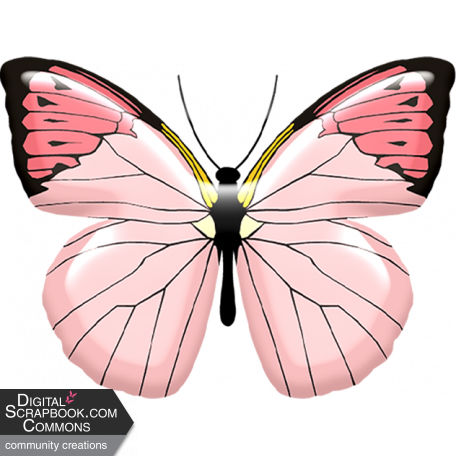 Truth Pink Butterfly