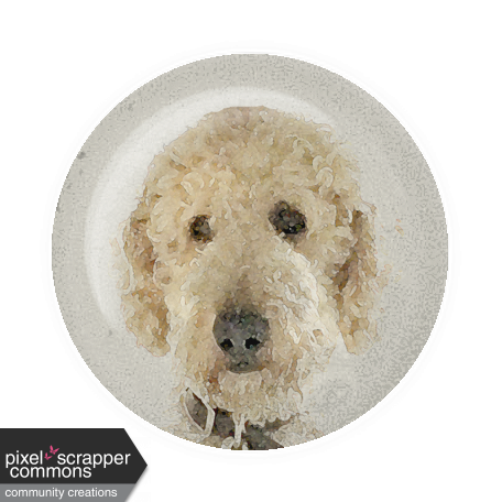 Goldendoodle Dog Glass Magnet