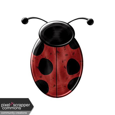 Ladybug 06