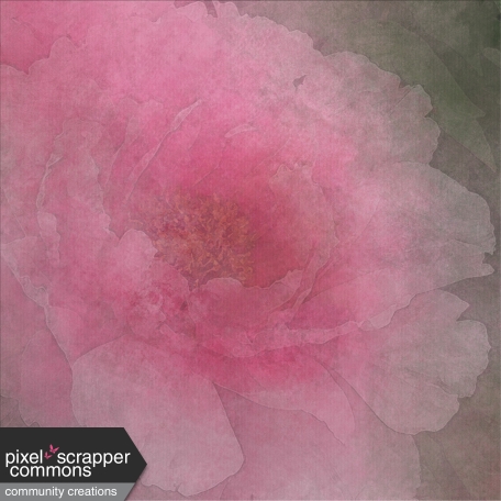Peony in Pink Paper