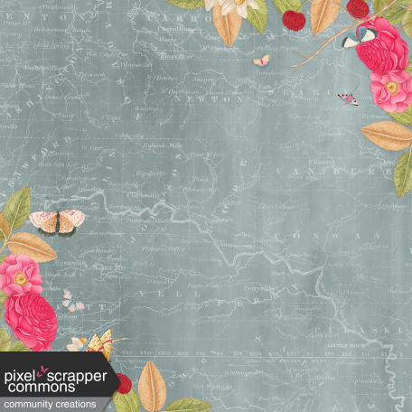 Floral Bordered Background 01