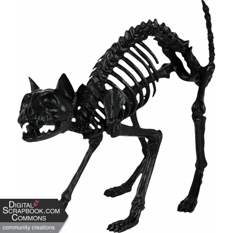 Halloween Black Cat Skeleton