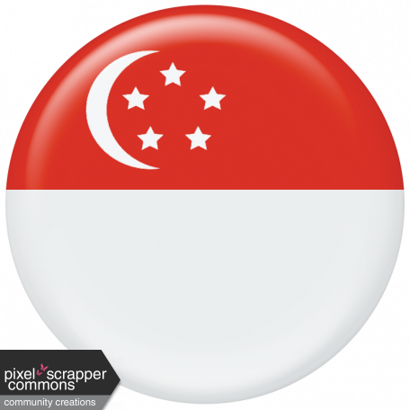 Singapore Flag Flair Brad