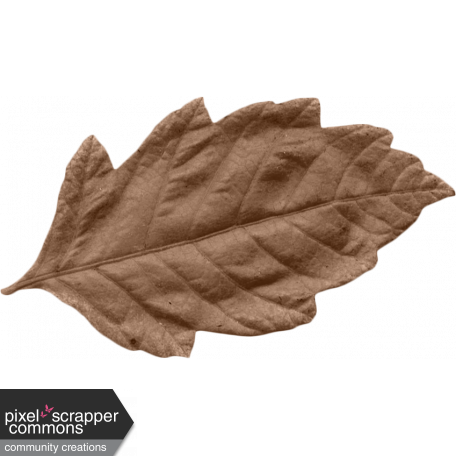 MSC - Brown Leaf