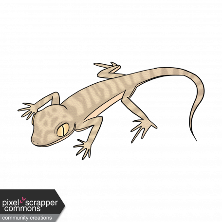 Lizard 1 - Petrii Gecko