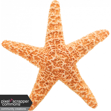 Starfish