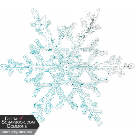 Snowflake 5