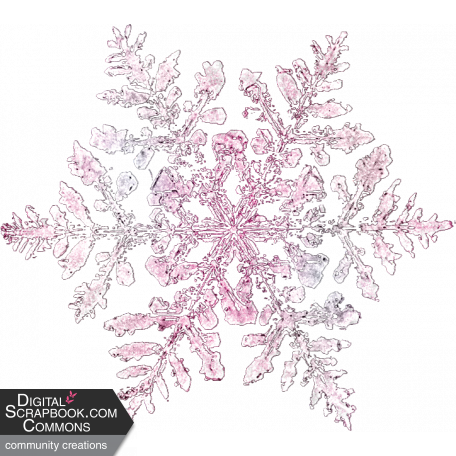 Snowflake 6