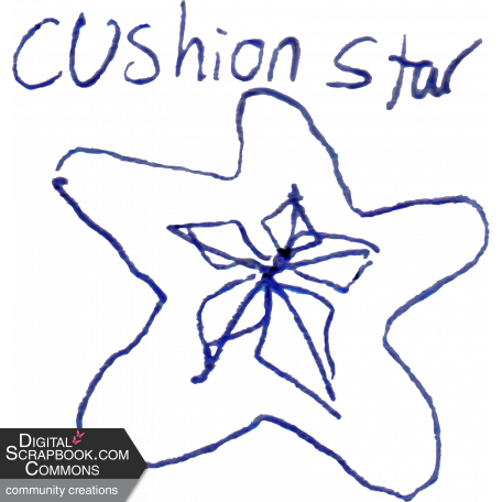 Doodle Starfish