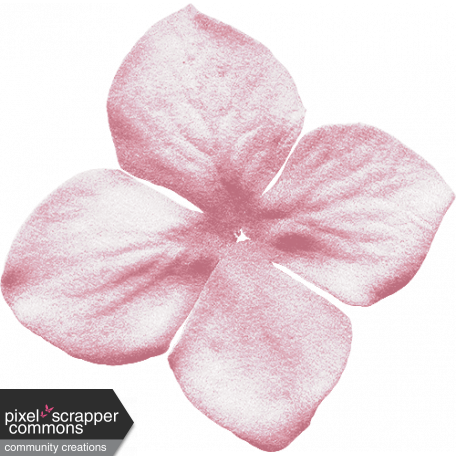 KMRD-201505BTPS-Renewal-flower02