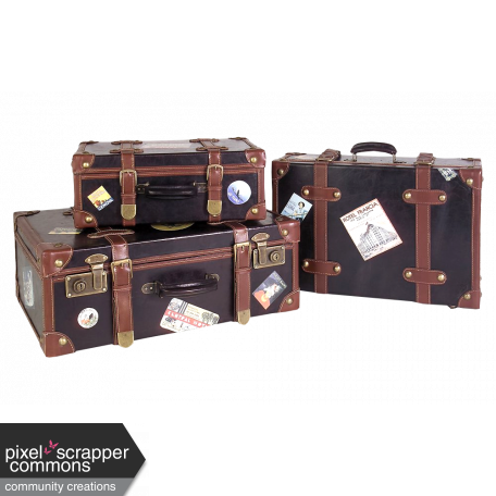 ps_paulinethompson_masculine2_luggage