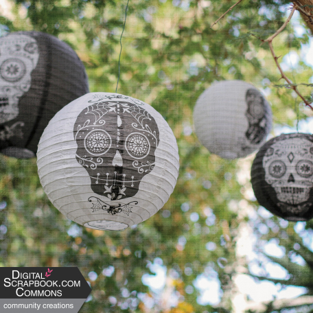 Mexican Spice Photo Paper - Textured - 08 Day Of The Dead Paper Lanterns
