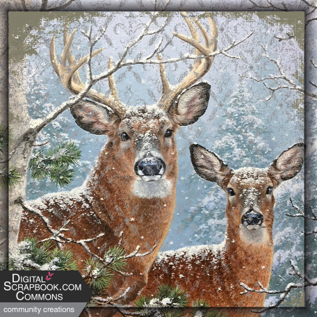 Deers in the Snow