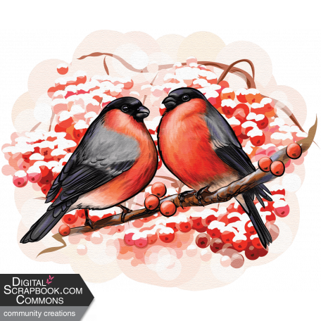 Romantic Bullfinches