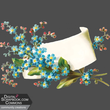 Vintage Forget-Me-Nots Label