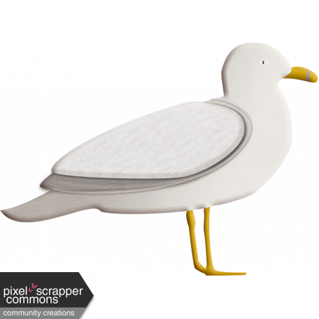 Seagull_002