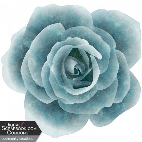 Mind Garden_Blue Rose