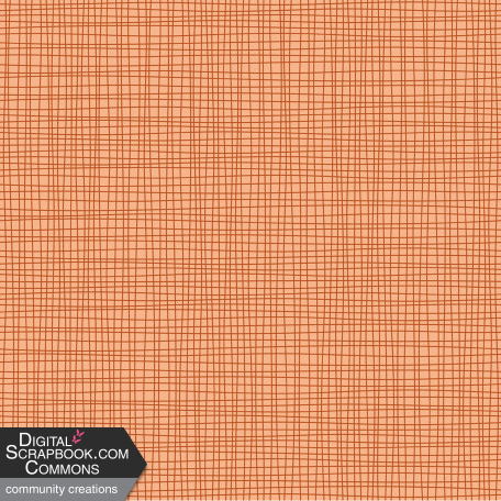 Orange Plaid Paper_Boo 2022