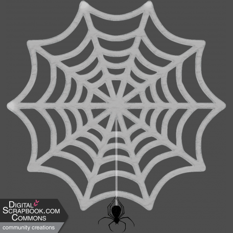 Spiderweb with Spider_Boo 2022