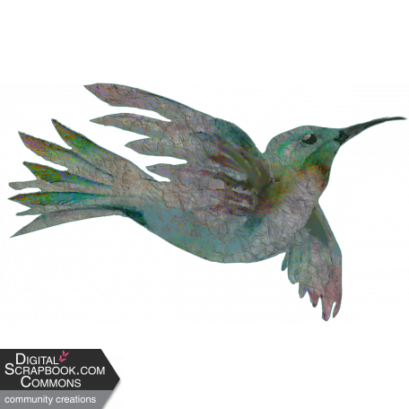 Humming Bird Paper Textured Element From Drawing Closer