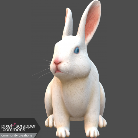 3D-Angora rabbit white-1