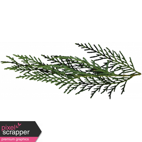 It's Christmas - Green Pine Branch #02