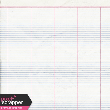 Notebook Paper -Blue & Pink