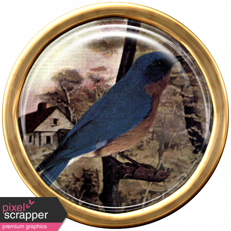 Ephemera Bird Brad 02