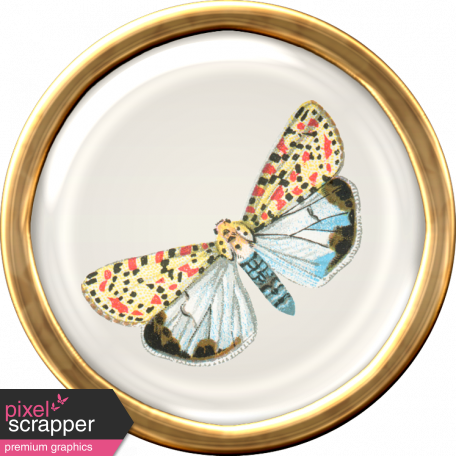 Ephemera Butterfly Brad 02