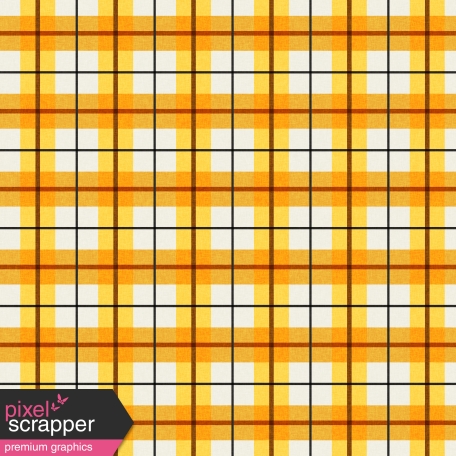 Boozy Beer Paper - Plaid 93