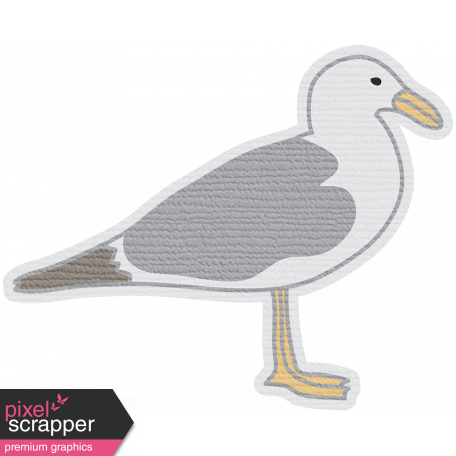 Coastal Sea Gull 