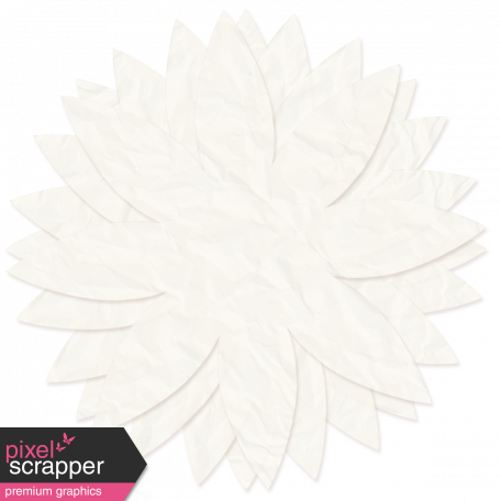 Tissue Paper Flower - White