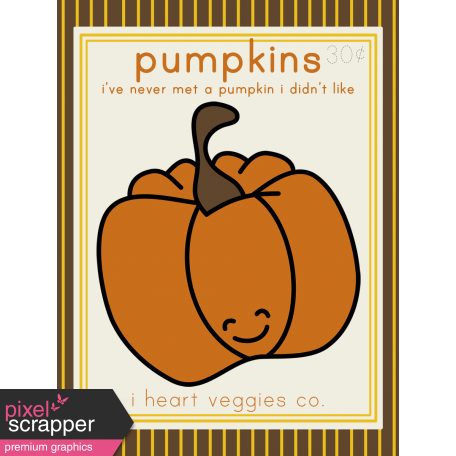 The Veggie Patch Cards Kit - Pumpkins